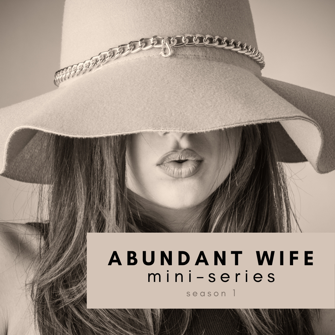 Abundant Wife mini series launch teaser